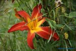 comp_DSC07994.jpg