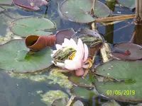 100_7626.webp