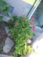100_7639.webp