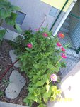 100_7639.JPG