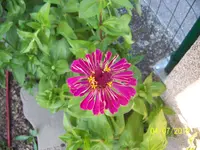 100_7641.JPG