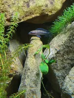 20190705_135928_compress49.webp