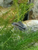 20190705_135913_compress54.webp