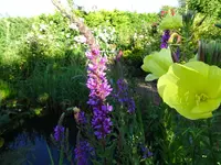 DSC00514.webp
