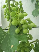 IMG_20190705_131910.webp