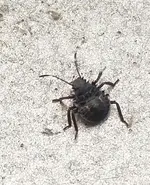 IMG_20190705_131817_01.webp