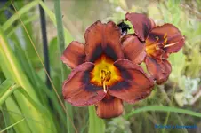 comp_DSC08006.webp