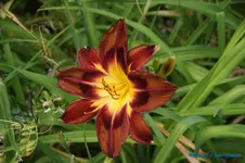 comp_DSC08008.webp