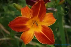 comp_DSC08009.webp