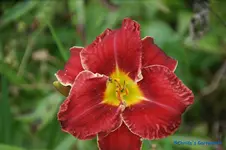 comp_DSC08010.webp