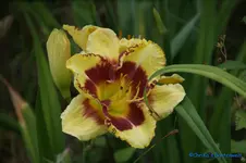 comp_DSC08011.webp