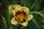 comp_DSC08011.jpg