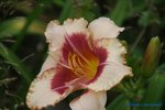 comp_DSC08012.jpg