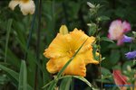comp_DSC08013.jpg
