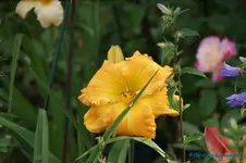 comp_DSC08013.webp