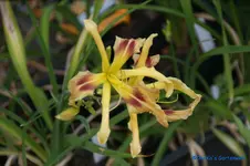 comp_DSC08014.webp