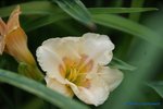 comp_DSC08016.jpg