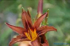 comp_DSC08018.webp
