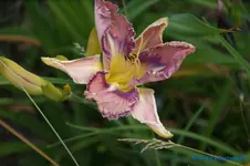 comp_DSC08020.webp