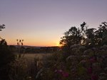 IMG_20190702_213150.jpg