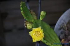 comp_DSC08021.webp