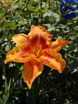 IMG_20190706_132302.jpg