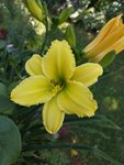 IMG_20190706_132338.jpg