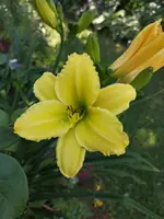 IMG_20190706_132338.webp