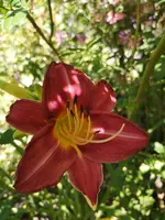 IMG_20190706_132403.webp