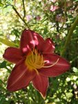 IMG_20190706_132403.jpg