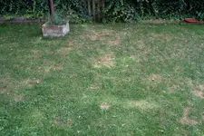 A2206171.webp