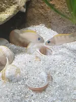 20190706_144246.webp