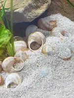 20190706_145304.webp