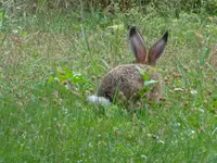DSC00518.webp