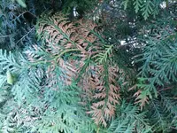 20190706_211402.webp