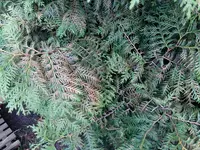 20190706_211436.webp