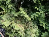 20190706_211517.jpg
