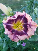 20190630_110211.webp