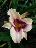 20190624_194740.webp