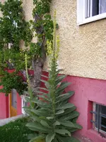 07_07_2019 (5).webp
