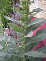 07_07_2019 (6).webp