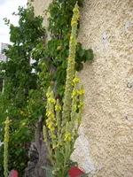07_07_2019 (7).webp