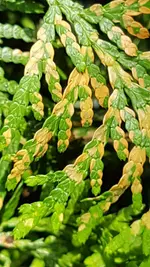20190706_155634.webp