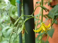 20190707_140248_resized.webp