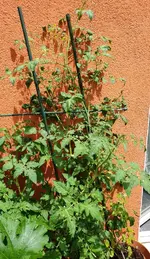 20190707_140525_resized.webp