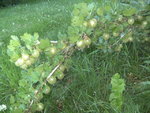 BILD1291.JPG