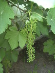 BILD1231.JPG