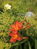 IMG_20190707_173401.jpg