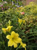 IMG_20190707_173420.jpg