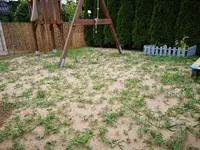 IMG_20190707_192655.jpg